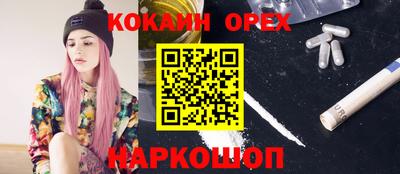 эйфоретик Гатчина
