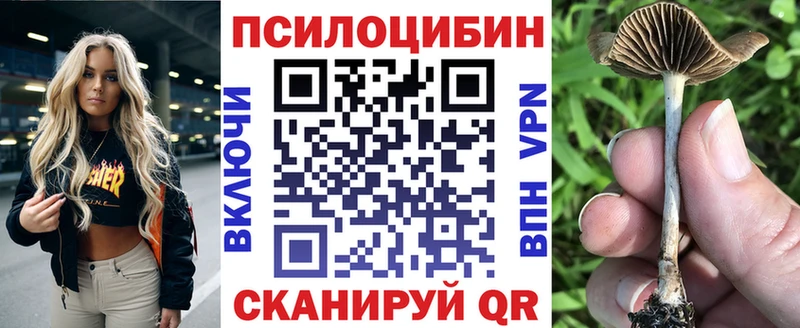 MEGA рабочий сайт  Алейск  Псилоцибиновые грибы мицелий  закладки 
