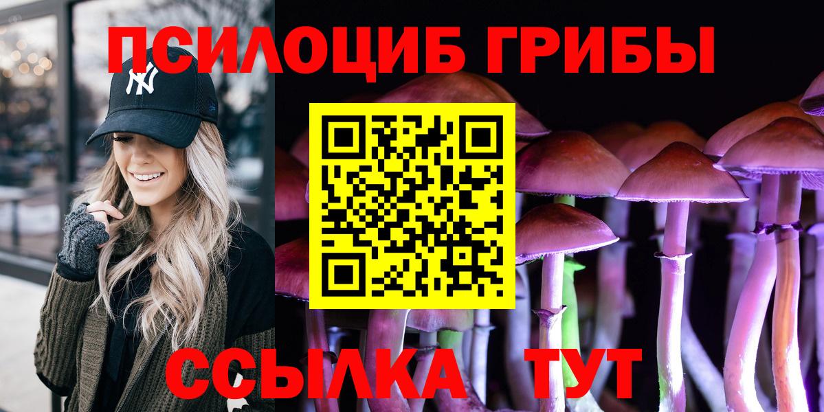 Галлюциногенные грибы Psilocybine cubensis  наркошоп  Алейск 