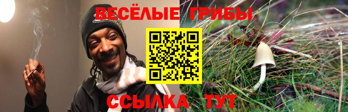 Галлюциногенные грибы MAGIC MUSHROOMS Алейск